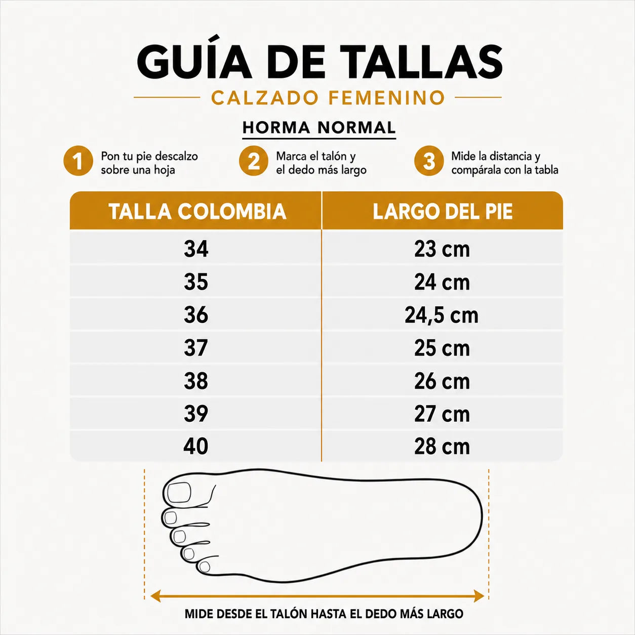 Guía de tallas Lord: equivalencias de las tallas 34 a 40 en centímetros e instrucciones para medir el pie